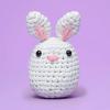 imageThe Woobles Beginners Crochet Kit with Easy Peasy Yarn as seen on Shark Tank Bundle  with StepbyStep Video Tutorials  Pierre The Penguin and Felix The Fox and JoJo The Bunny